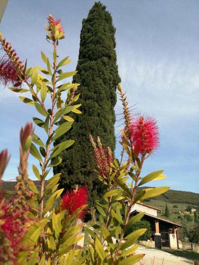 Borgo Buciardella Villa Baschi Bagian luar foto