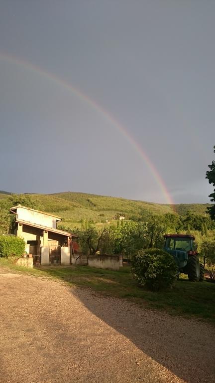 Borgo Buciardella Villa Baschi Bagian luar foto