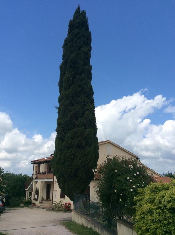 Borgo Buciardella Villa Baschi Bagian luar foto