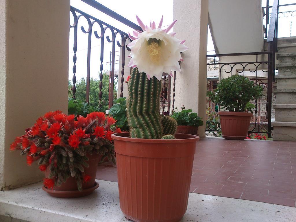 Borgo Buciardella Villa Baschi Bagian luar foto