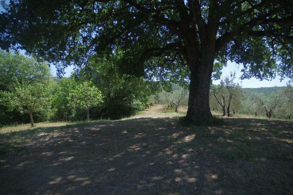 Borgo Buciardella Villa Baschi Bagian luar foto
