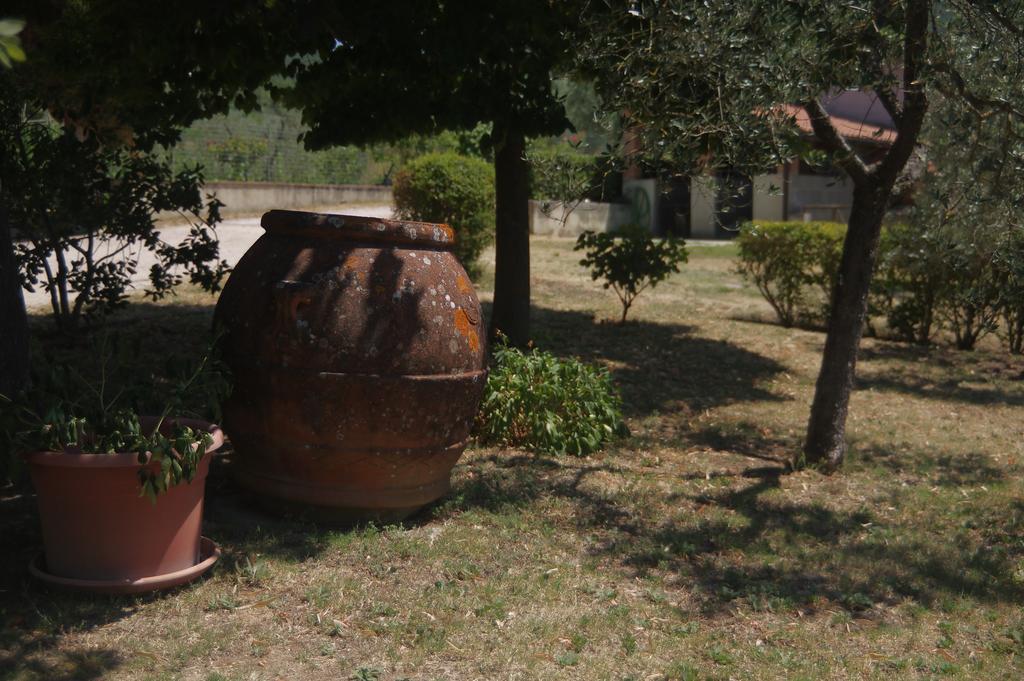 Borgo Buciardella Villa Baschi Bagian luar foto