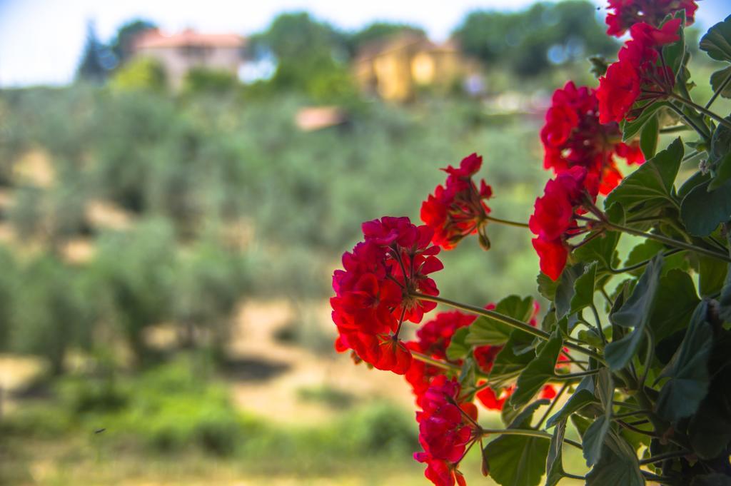 Borgo Buciardella Villa Baschi Bagian luar foto